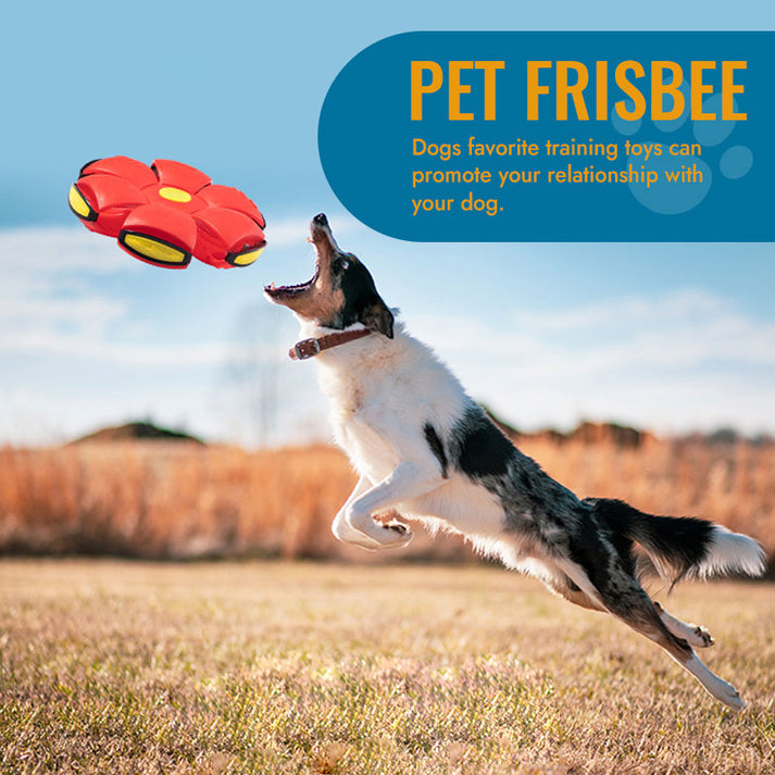 Pet Toy Flying Saucer Ball